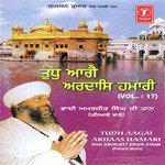 Tudh Aagai Ardaas Hamari (Vol. 17) - Bhai Amarjit Singh Ji Taan Song Download